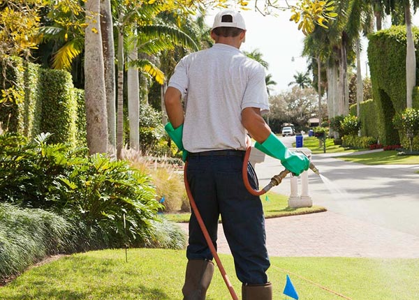 About Tyro KS Pest Control